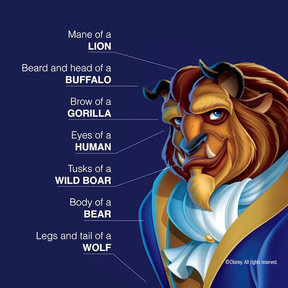 Animals-making-beast-up-beauty-and-the-beast-26646589-570-570.jpg